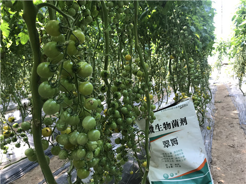 微生物菌劑，磷酸二氫鉀，翠姆，拉姆拉