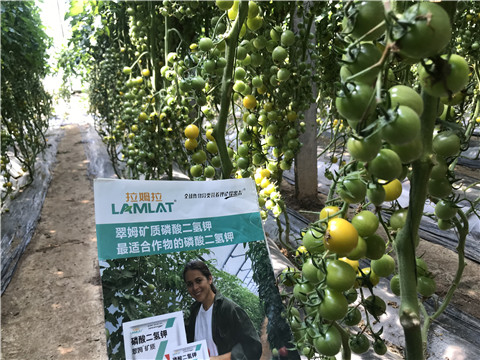 微生物菌劑，磷酸二氫鉀，翠姆，拉姆拉