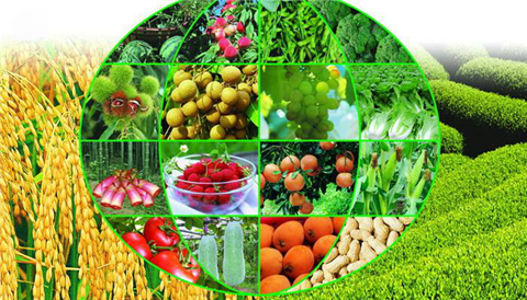 水溶肥，拉姆拉，翠姆