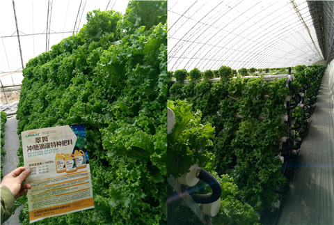 水溶肥，拉姆拉，翠姆