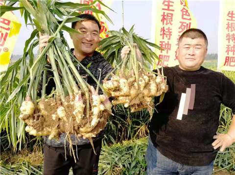 水溶肥，翠姆，拉姆拉