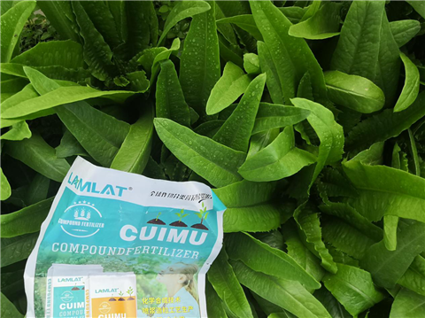 水溶肥，翠姆，拉姆拉
