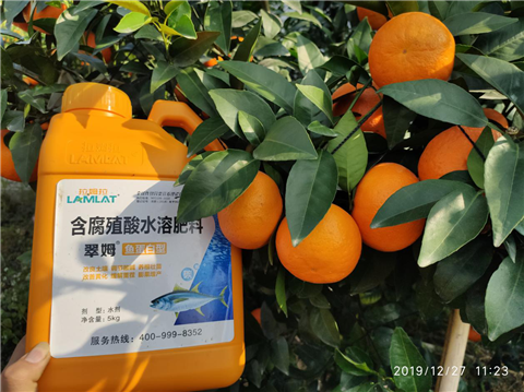 水溶肥，翠姆，拉姆拉