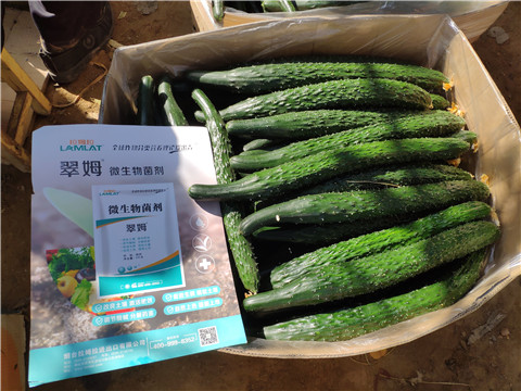 葉面肥，安碧解，除草劑藥害