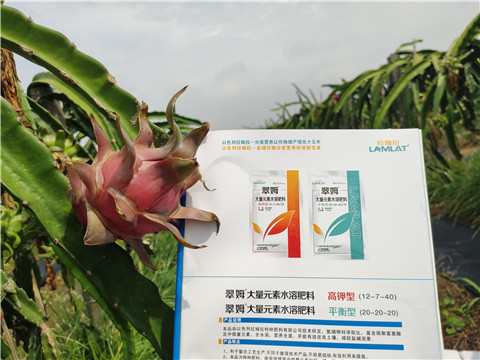 進(jìn)口水溶肥，拉姆拉，翠姆