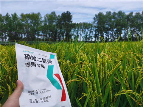 磷酸二氫鉀，拉姆拉，翠姆