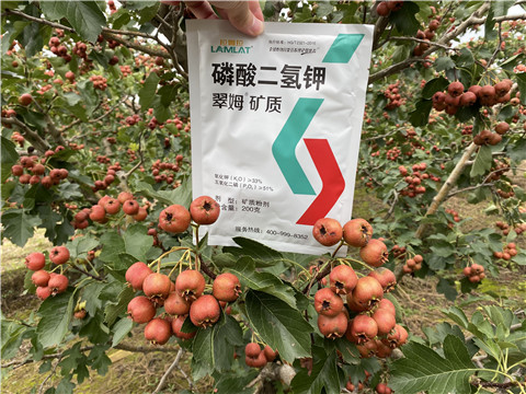 磷酸二氫鉀，拉姆拉，翠姆