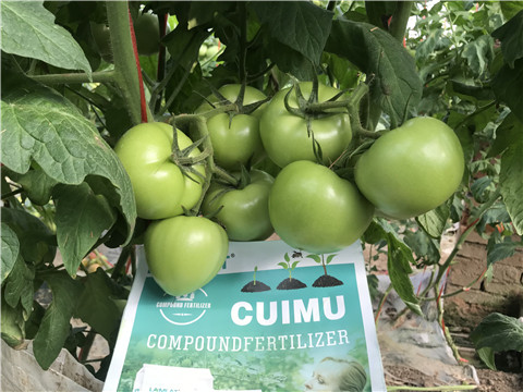 葉面肥，磷酸二氫鉀，微生物菌劑，翠姆，拉姆拉