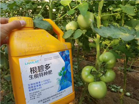 葉面肥，磷酸二氫鉀，微生物菌劑，翠姆，拉姆拉