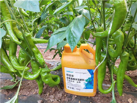 水溶肥，拉姆拉