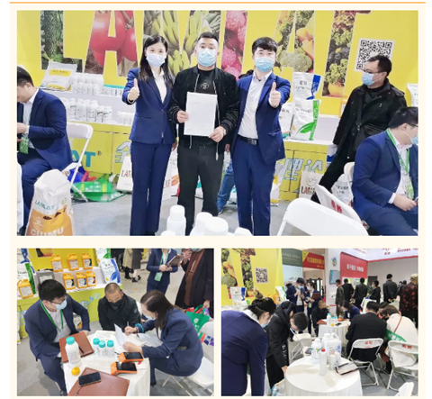 水溶肥，拉姆拉，翠姆