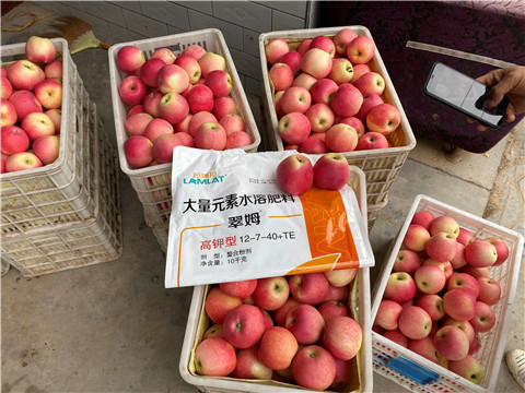 水溶肥，大量元素水溶肥，翠姆，拉姆拉