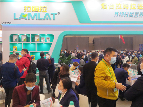 進(jìn)口水溶肥，拉姆拉，翠姆