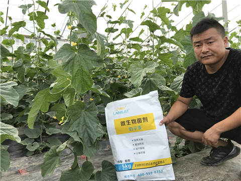 水溶肥，拉姆拉