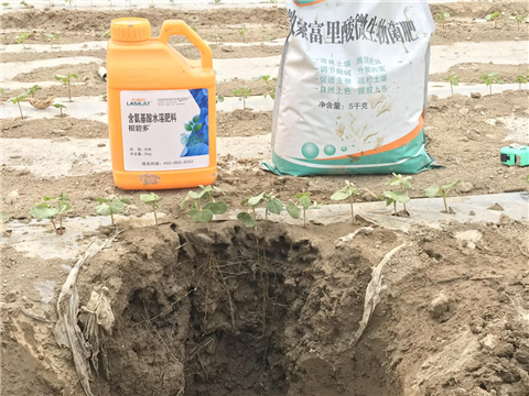 水溶肥，拉姆拉，翠姆