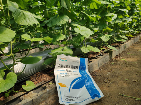 大量元素水溶肥，拉姆拉，翠姆