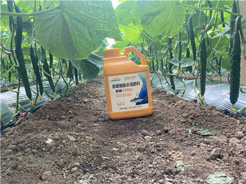 水溶肥，拉姆拉，翠姆