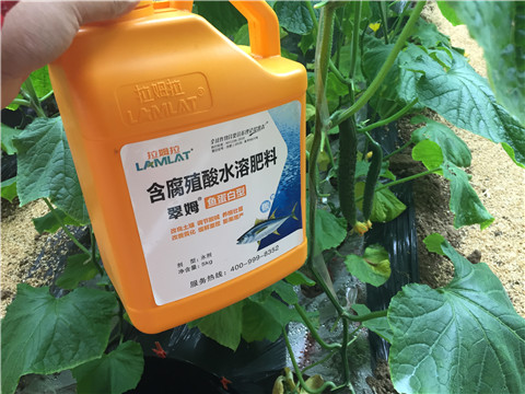 滴灌肥，拉姆拉，翠姆