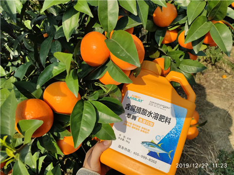 水溶肥，拉姆拉，翠姆