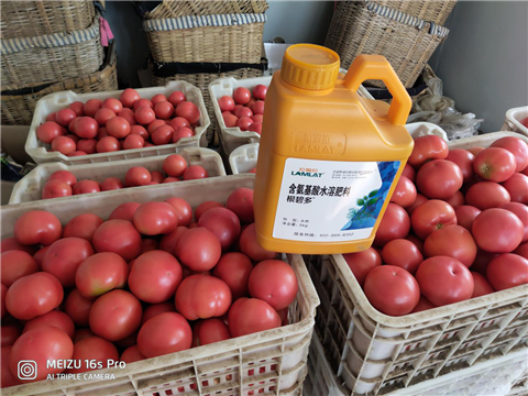 水溶肥，拉姆拉，翠姆