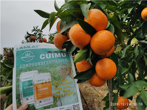 進(jìn)口水溶肥，拉姆拉，翠姆