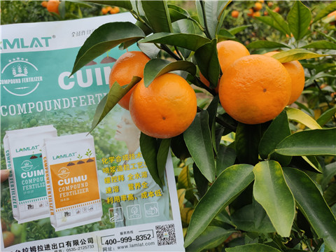 顆粒水溶肥，拉姆拉，翠姆