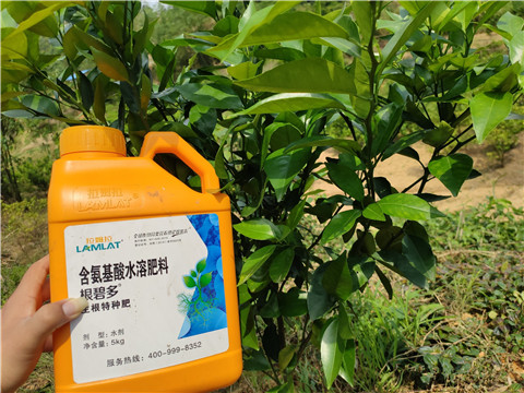 水溶肥，拉姆拉，翠姆