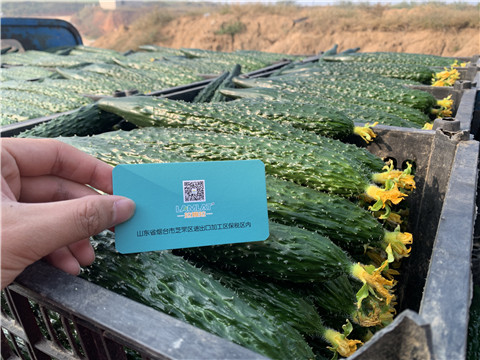 水溶肥，拉姆拉，伯示麥