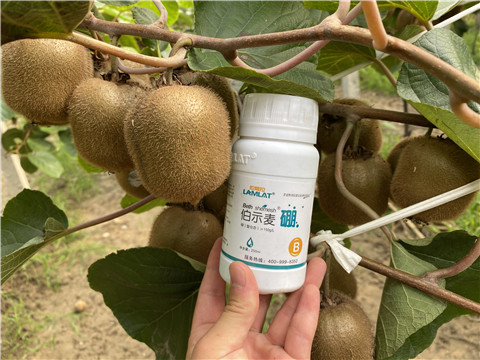 有機(jī)肥,無(wú)機(jī)肥 有機(jī)肥,無(wú)機(jī)肥