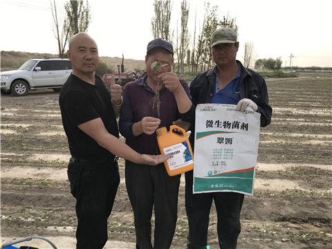 水溶肥，拉姆拉，翠姆