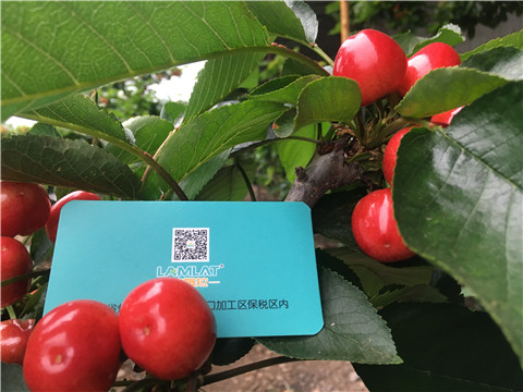 大量元素水溶肥，拉姆拉，翠姆