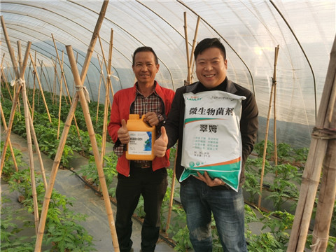 水溶肥，拉姆拉，翠姆