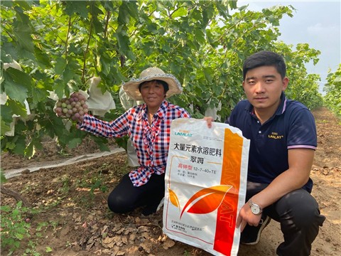 大量元素水溶肥，拉姆拉，翠姆