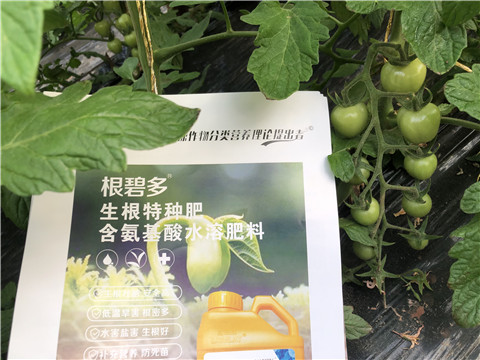 水溶肥，拉姆拉，翠姆