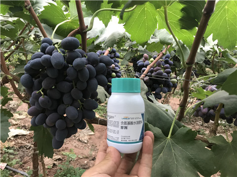 進(jìn)口水溶肥，拉姆拉，翠姆