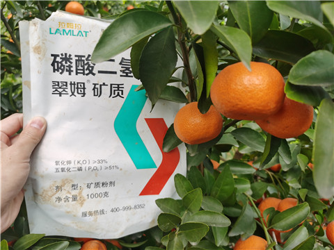 水溶肥，拉姆拉，翠姆