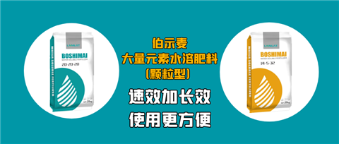 顆粒肥，拉姆拉，翠姆