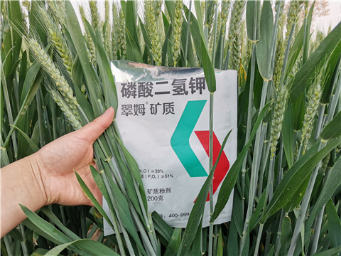 葉面肥，水溶肥，磷酸二氫鉀