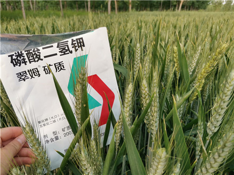 葉面肥，水溶肥，磷酸二氫鉀