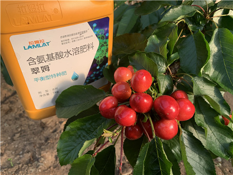 氨基酸水溶肥，拉姆拉，翠姆