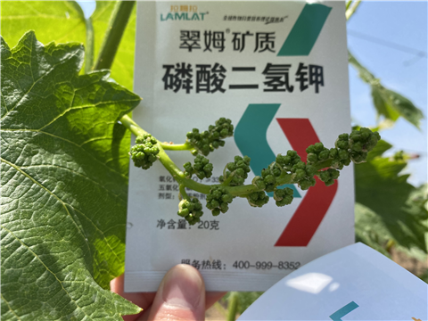 磷酸二氫鉀，拉姆拉，翠姆