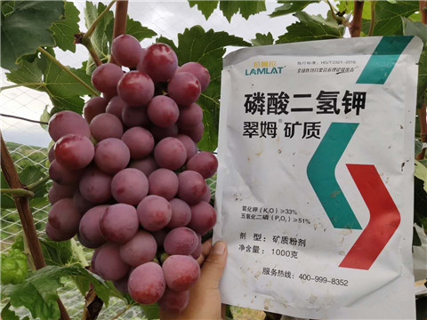 磷酸二氫鉀，拉姆拉，翠姆