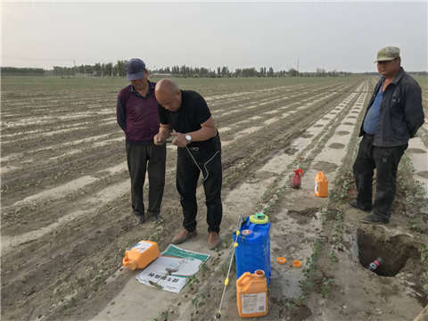 水溶肥，拉姆拉，翠姆