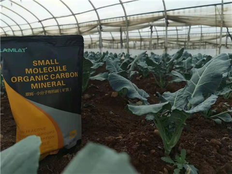 小分子有機(jī)碳，拉姆拉，翠姆