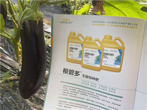 水溶肥，拉姆拉，翠姆