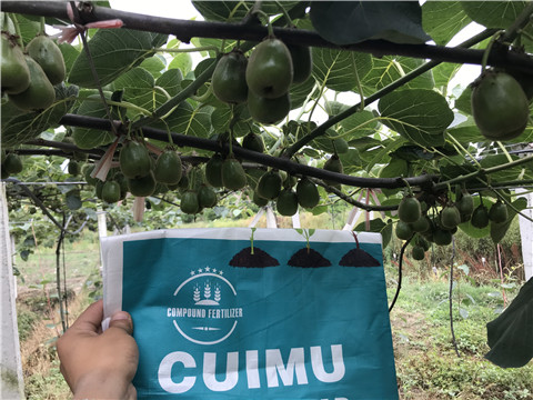 顆粒水溶肥，拉姆拉，翠姆