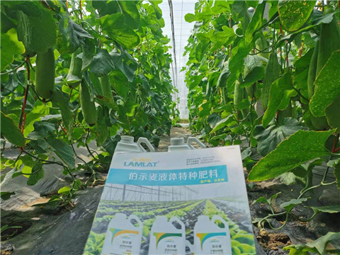 水溶肥，拉姆拉，翠姆