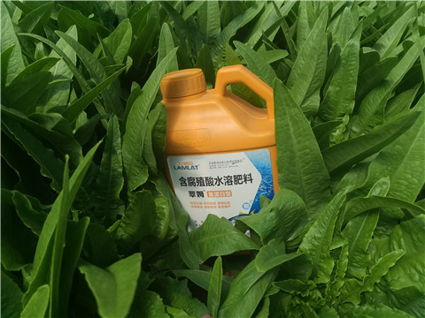 沖施肥，拉姆拉，翠姆