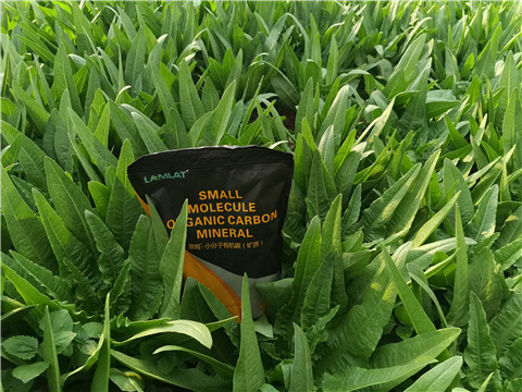 礦源黃腐酸鉀，拉姆拉，翠姆