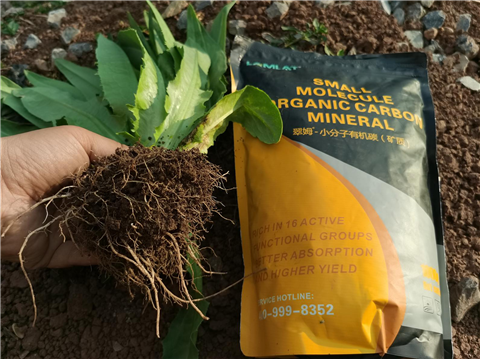 礦源黃腐酸鉀，拉姆拉，翠姆